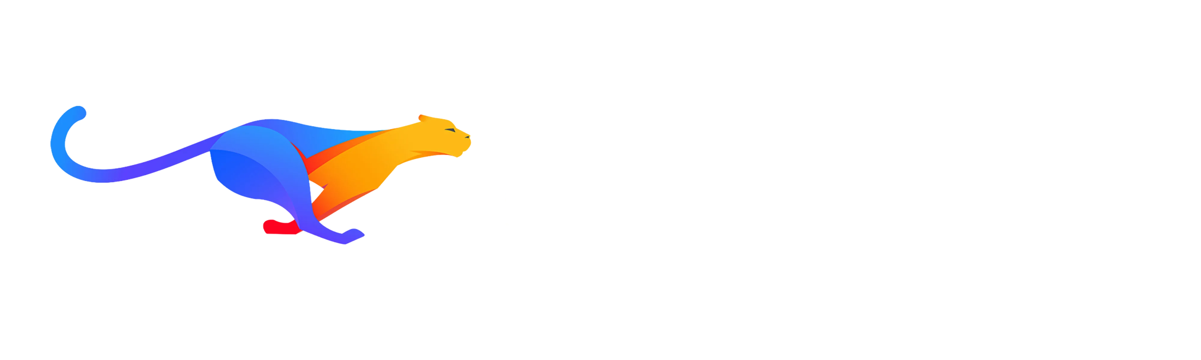BaoKuan Logo